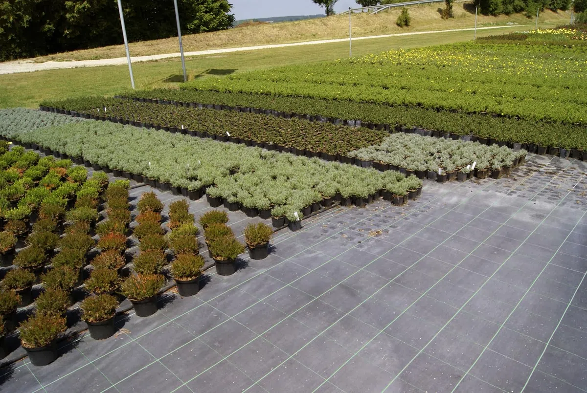 EraGreen Film anti-mauvaises herbes résistant à la déchirure 100m x 0,5m | Stabilisé aux UV et perméable à l'eau | Tissu de sol 100g/m² | Film tissé | Film de jardin | Toile anti-mauvaises herbes |