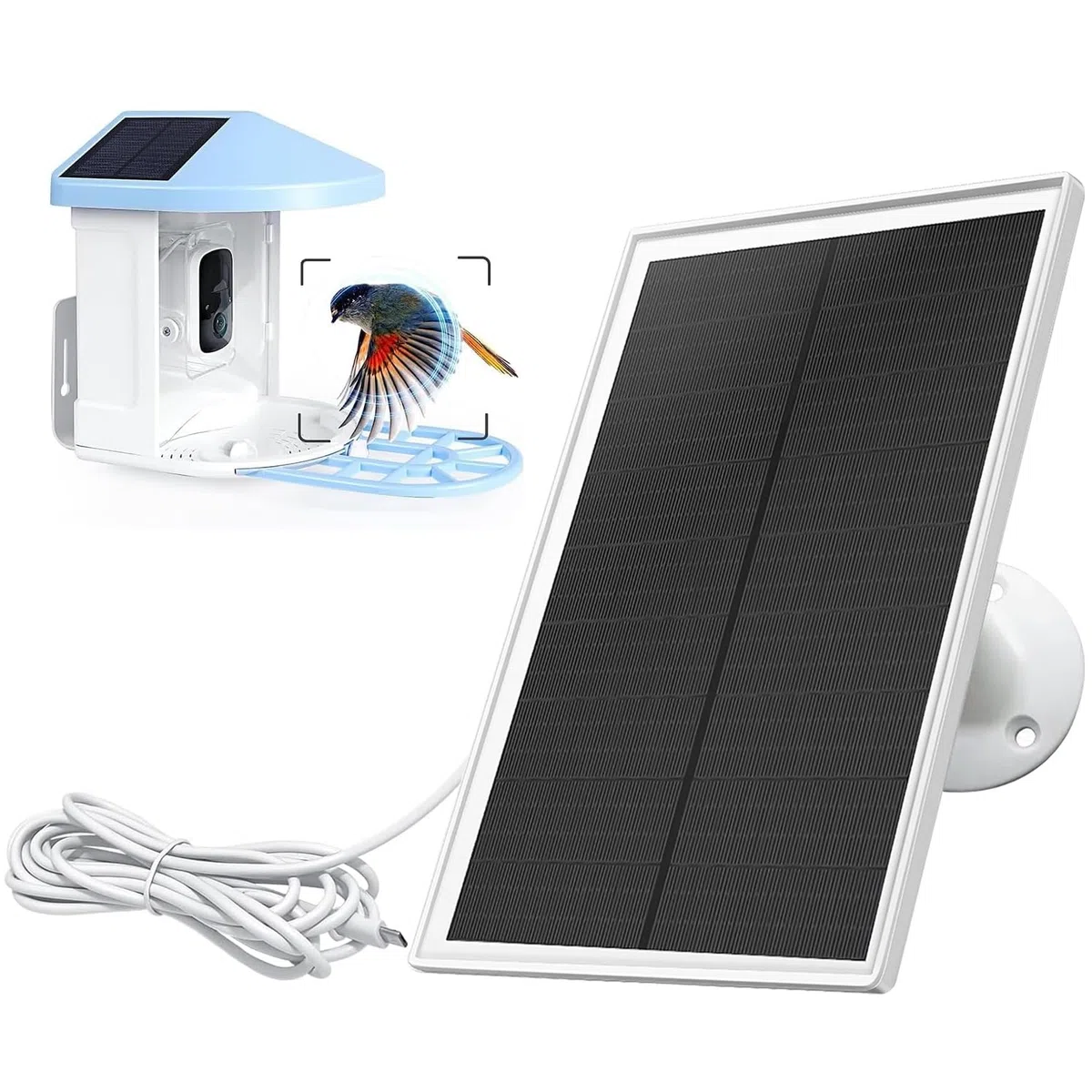 Chargeur de panneau solaire 6 W compatible avec appareil photo Netvue Bird Feeder, câble de 3 m de long, étanche