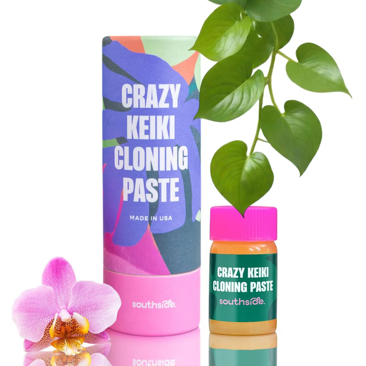 Pâte clonage orchidée Cultivez vos Keikis Phalaenopsis rapidement - Cytokinine et vitamines B1 activent les bourgeons afin d’agrandir collection de plantes - Utilisable sur plantes d’intérieur