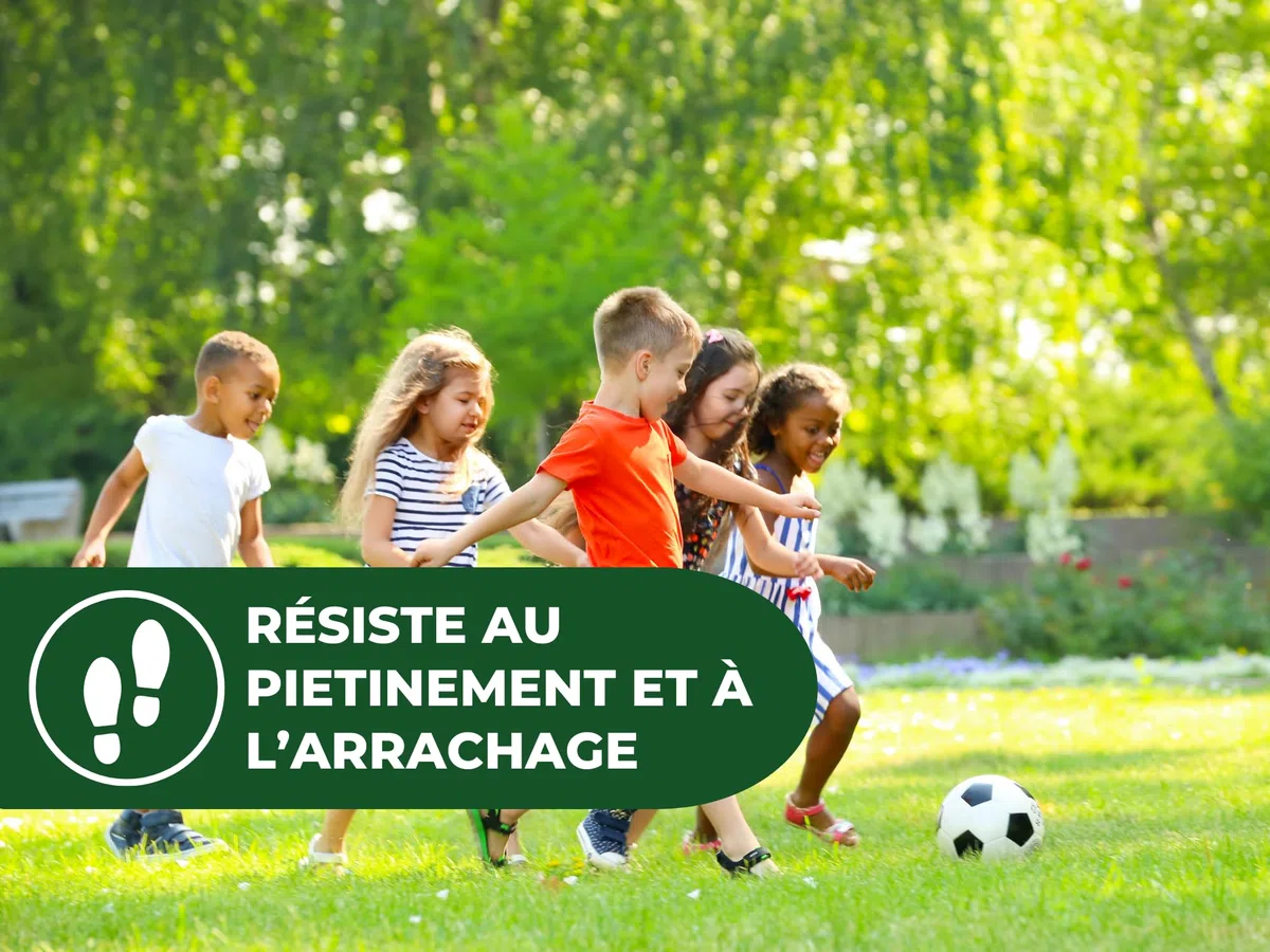 SOLABIOL Engrais Gazon Longue Durée - Sac 10 Kg - Jusqu'à 330m² - Améliore la tolérance à la sécheresse - Résiste au piétinement - Gazon Plus Dense & Plus Vert SOGAZY10BP