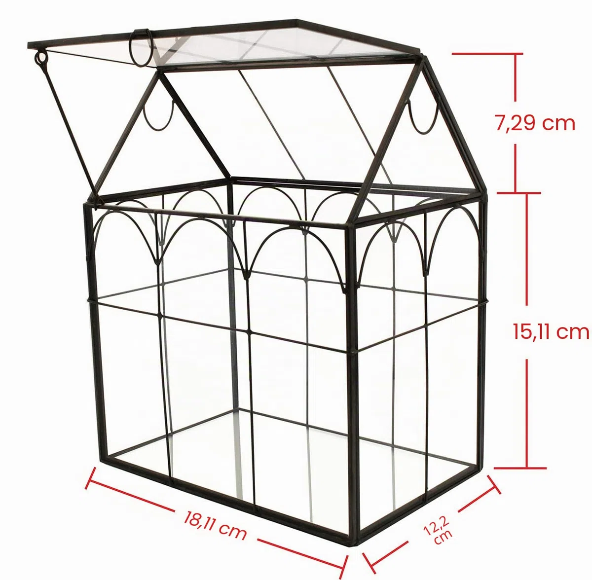 ElegantLife Terrarium en Forme de Maison Fait à la Main avec Couvercle pivotant sur Le Dessus pour fougère, Mousse, Cactus, Plantes aériennes (Plante Non Incluse)