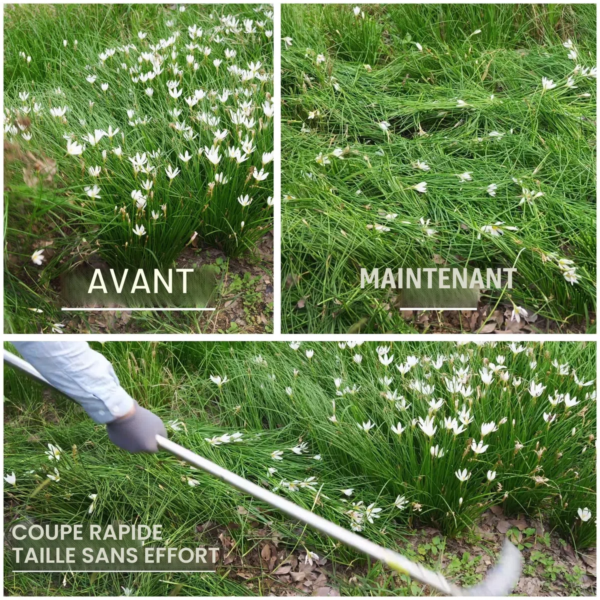 YEELOR Faucille de désherbage, Faucille d'herbe en Acier avec Lame dentelée à Double Tranchant, Fouet à Gazon télescopique, Faucille d'herbe Debout, Outil de Jardin léger à Long Manche pour Jardin