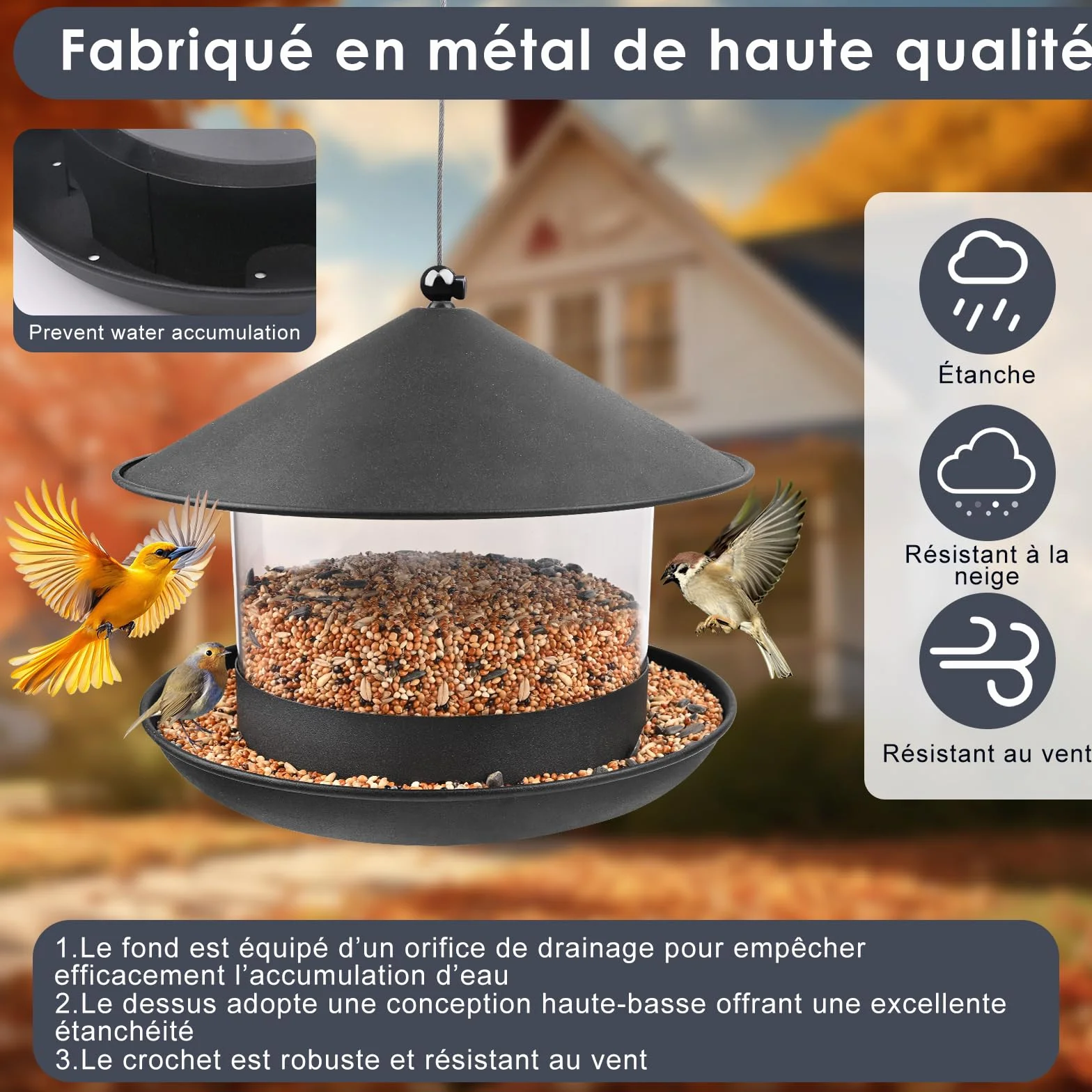 Mangeoire Oiseaux Extérieur à Suspendre Métal, Empêche Accumulation Eau, Facile Observer Moineaux Rouges-Gorges