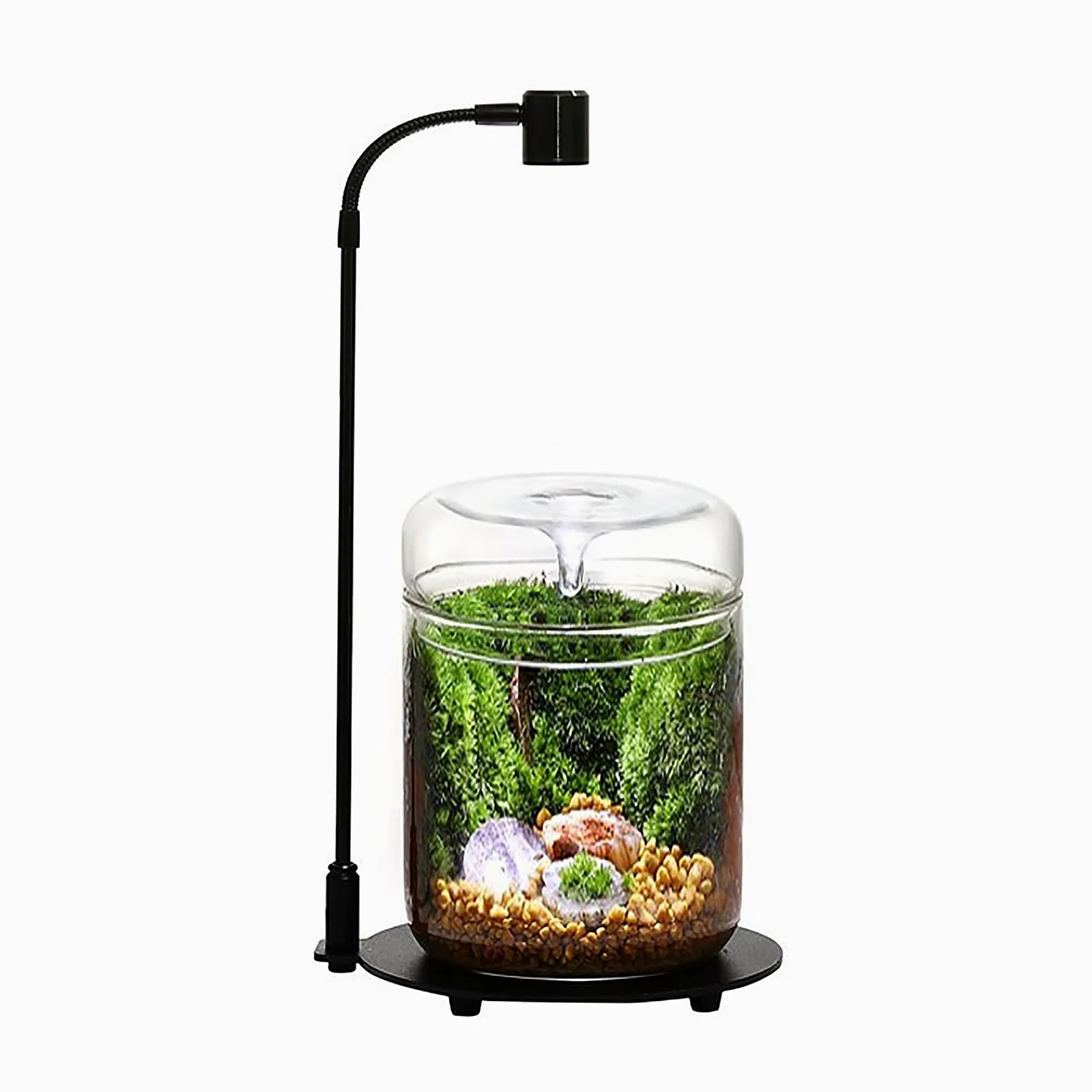 Terrarium en verre 12 x 17,5 cm pour plantes succulentes Plantes aériennes Fougère Mousse Micro paysage Vase pour la décoration de la maison Bureau Plateau de table Conteneur avec couvercle intérieur