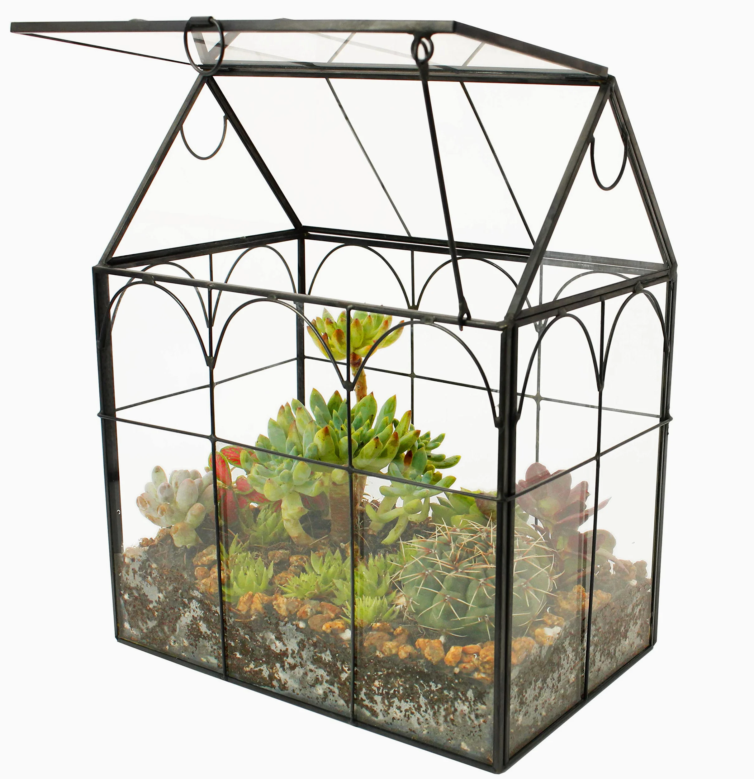 ElegantLife Terrarium en Forme de Maison Fait à la Main avec Couvercle pivotant sur Le Dessus pour fougère, Mousse, Cactus, Plantes aériennes (Plante Non Incluse)