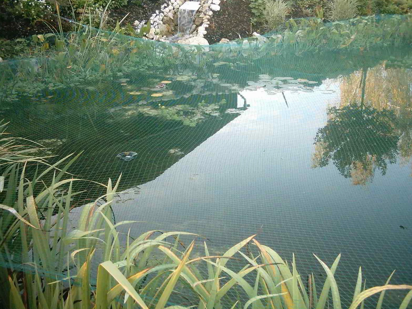 Aquagart Filet de protection anti-oiseaux pour bassin Mailles 17 x 17 mm
