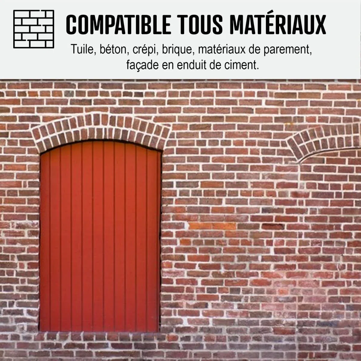 Anti-mousse ultra concentré : fongicide, anti dépôt vert toiture, mur, façade, terrasse, élimine, algues et lichens, 1 L (jusqu'à 250 m²) - ARCANE INDUSTRIES