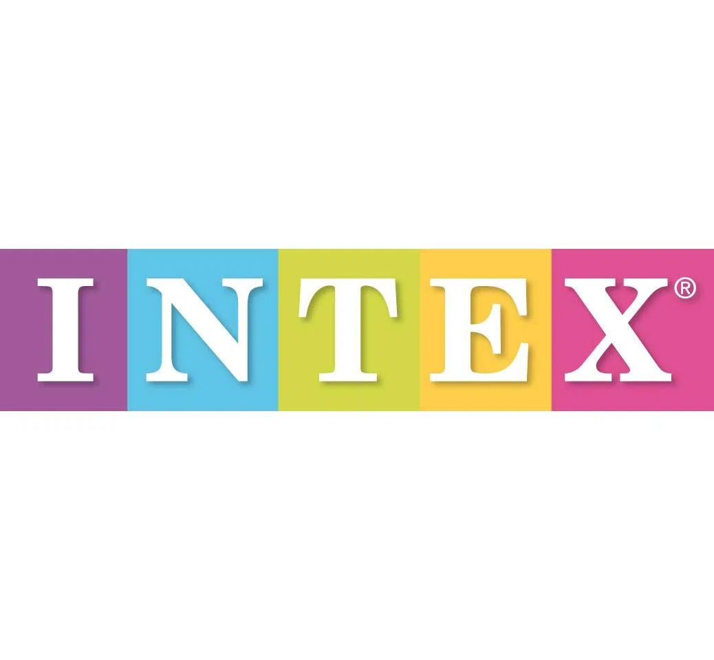 Intex échelle Double sécurité pour Piscine 91cm à 1m07 marches Amovibles