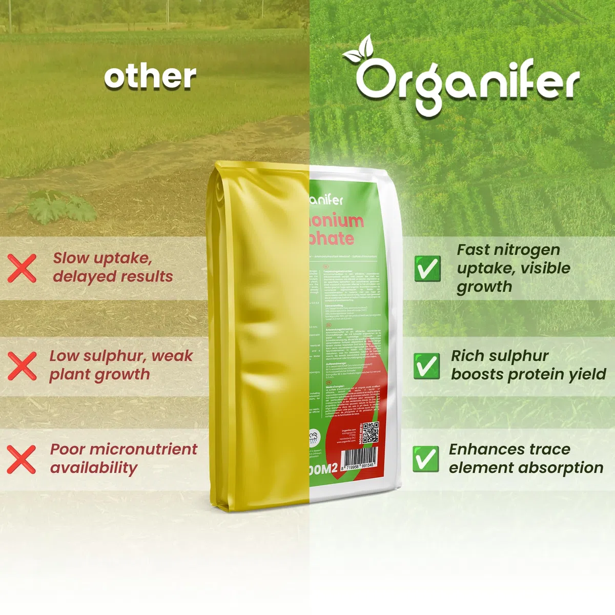 Engrais Au Sulfate D'Ammonium - 20 Kg Pour 400 M2 - Azote Minéral Et Soufre - Action Rapide - Idéal Pour Les Pelouses, Les Légumes, Les Fruits Et Les Plantes Ornementales - Organifer