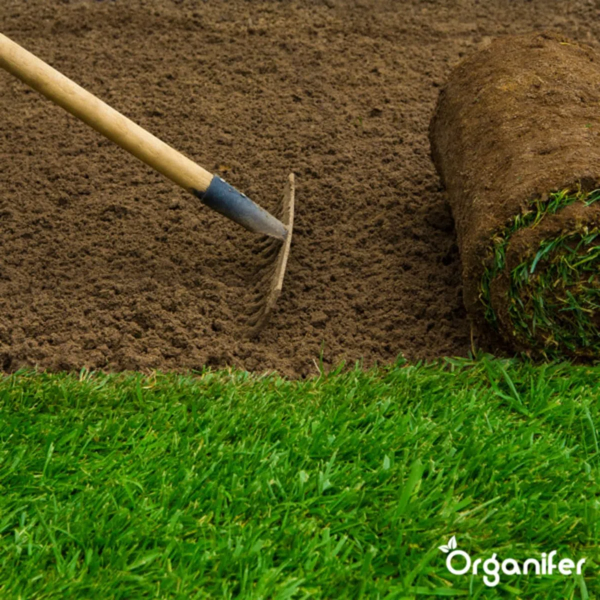 Fumier De Vache 3-En-1 En Granulés - 20 Kg - 200 M2 - Engrais Organique Universel - Npk 2-2-3 - Fertilisants Pour Potager, Gazon, Jardin - À Partir De Fumier De Vache 100% Pur - Organifer