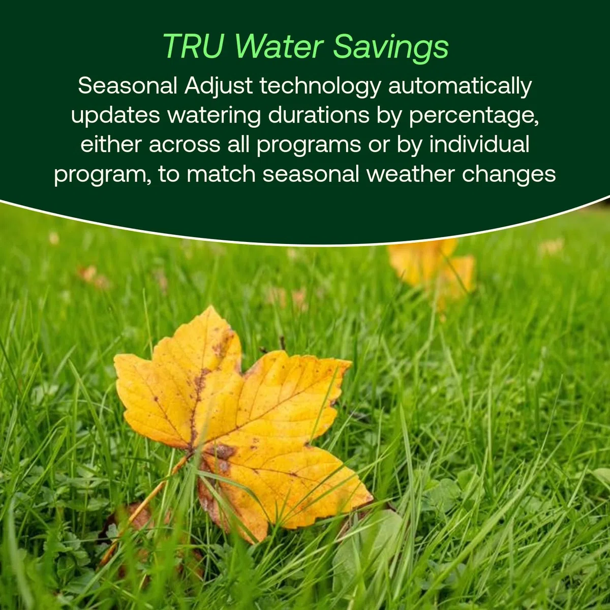Rain Bird TRU6I Contrôleur/minuteur d'irrigation d'intérieur basé sur programme, compatible WiFi, 6 zones/station