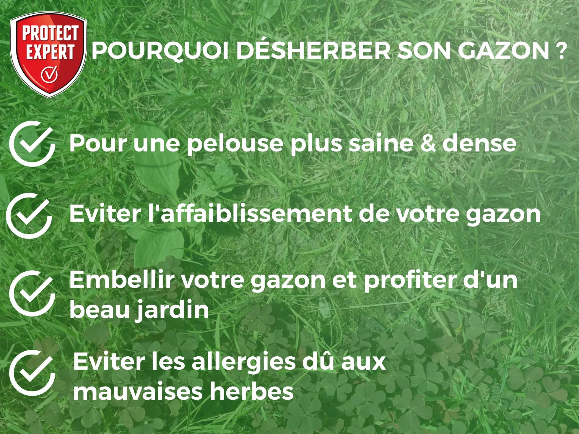 PROTECT EXPERT 2 Désherbant Concentré Localisé 2x200ml 176m² Non Sélectif