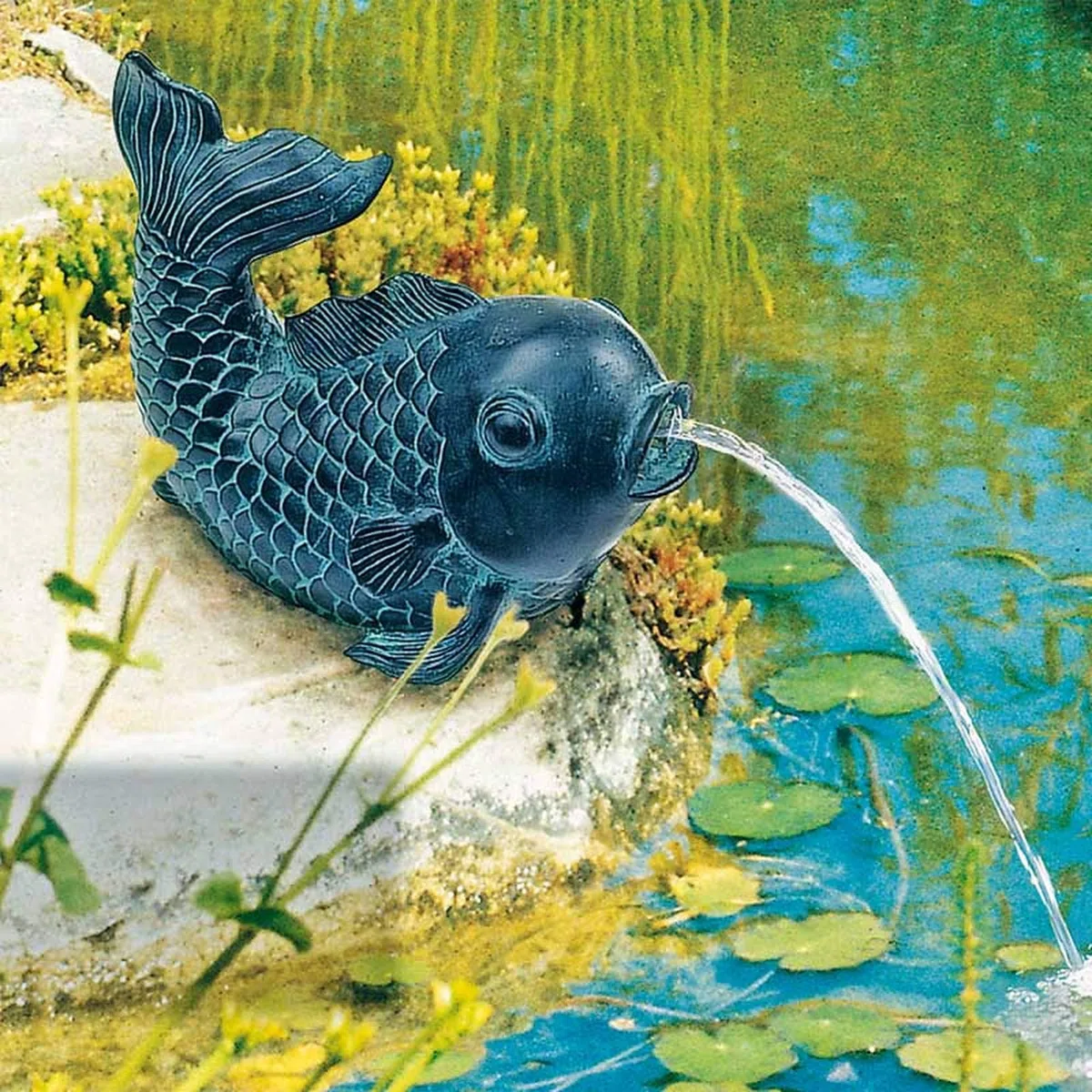Heissner Poissons gargouille