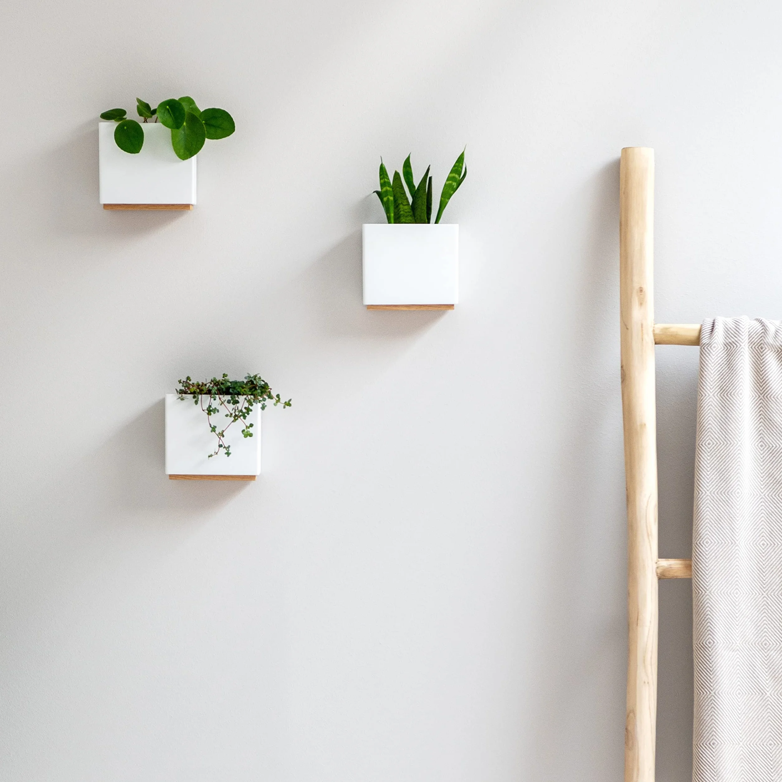 Kazai. Jardinières Murales -Alma- | 3 Pots de Fleurs Suspendus Modernes en Résine | Ensemble de Porte-Plantes pour Plantes d'intérieur, Plantes artificielles et Plus | Blanc