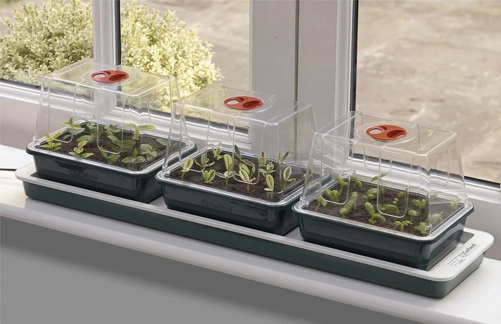 3 mini-serres électriques chauffantes Garland pour rebord de fenêtre