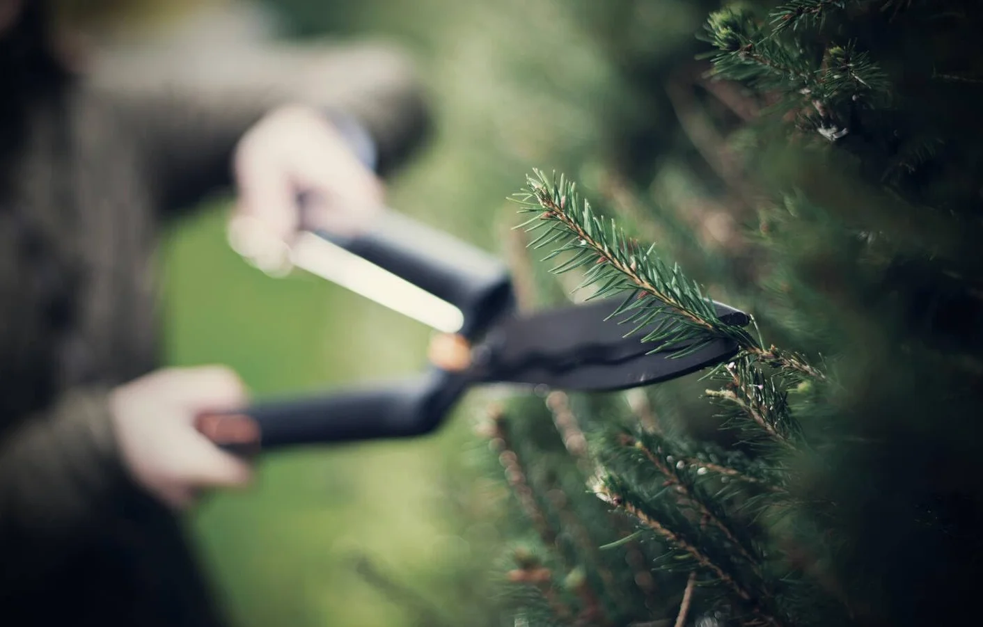 Fiskars Cisaille à haie SingleStep, Lame ondulée, Lames en Acier, Longueur: 58 cm, Noir mat, HS22, 1001433