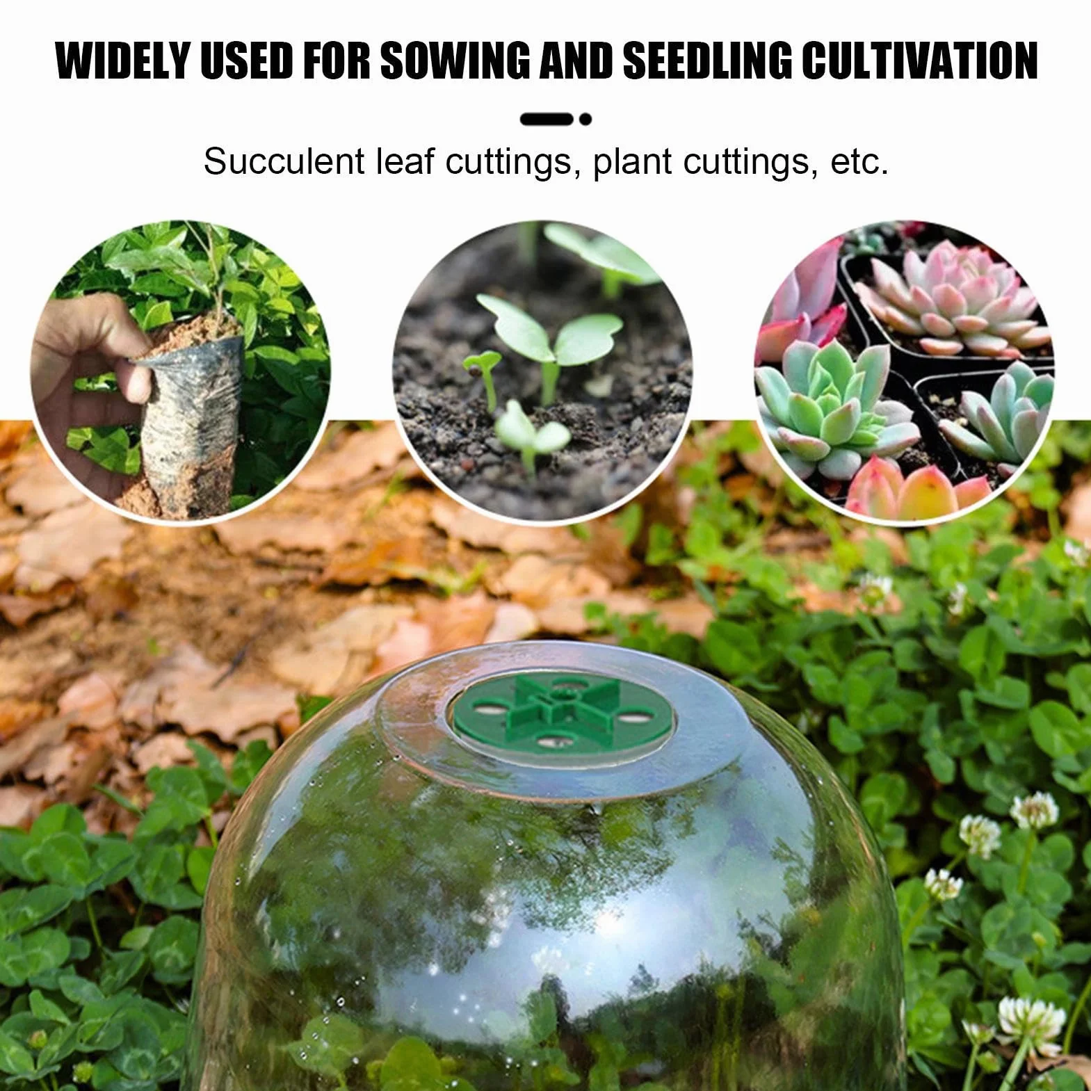 Cloches de Jardin en Plastique Lot de 10 - Dôme d'Humidité Protection Contre le Gel